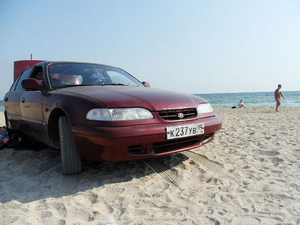 Дмитрий Мартынов