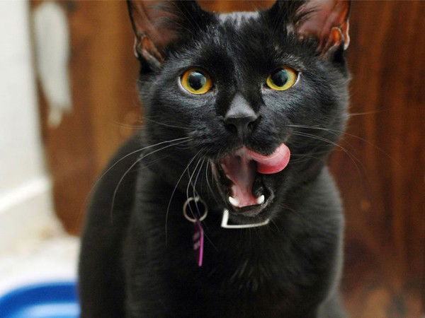 Алексей Алексеевич