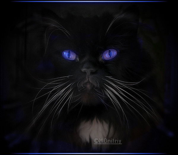 Дмитрий Стерликов