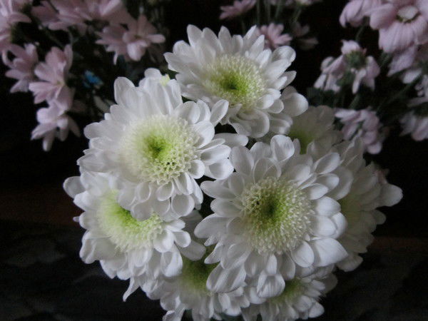 Евгения Федорова