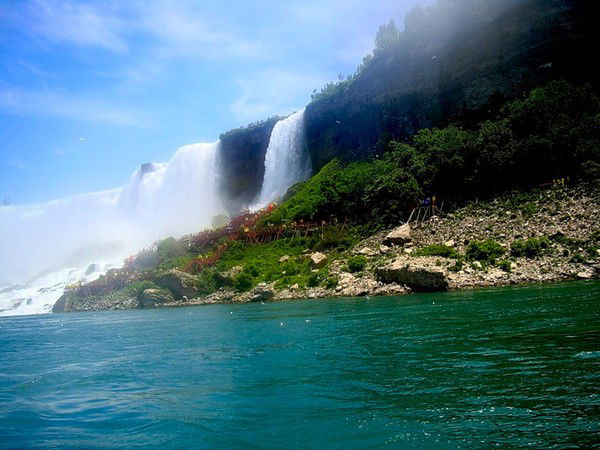 Евгения Полищук