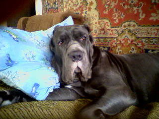 Фарида Гараева