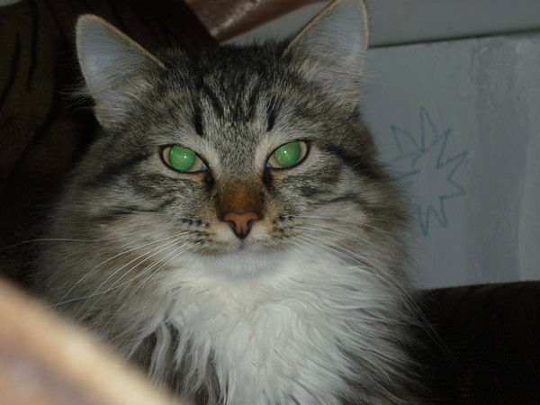 Вадим Зайнуллин