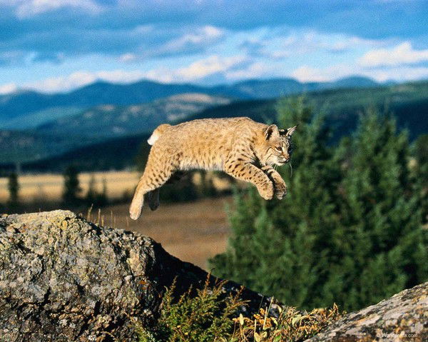 Андрей Зубакин