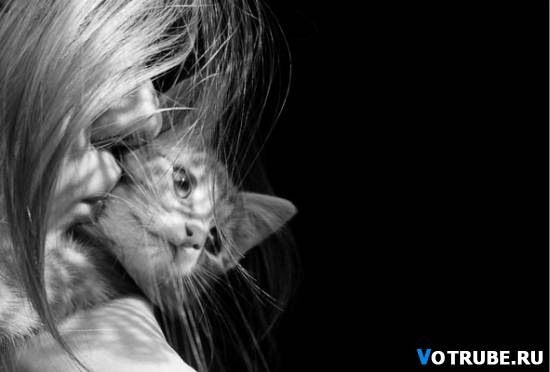 Неизвестно Неизвестно