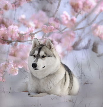 Татьяна Сутурина