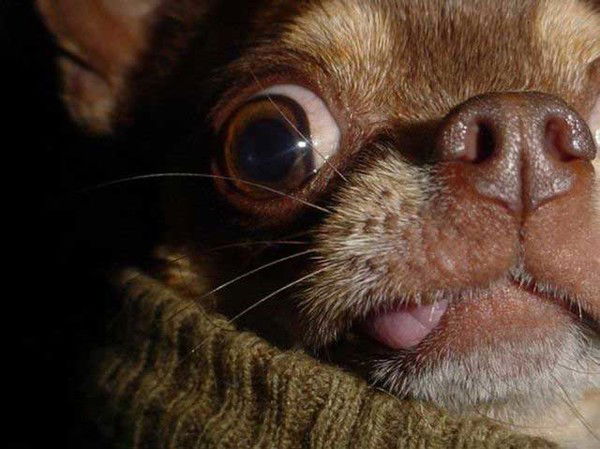 Игорь Балденков