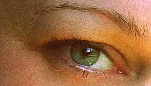 Мухобойка Я