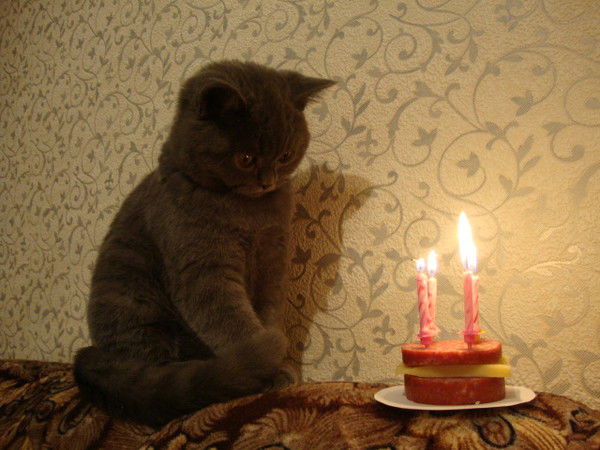 Ринат Метов