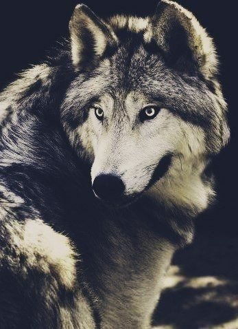 Бахтияр Жусупов