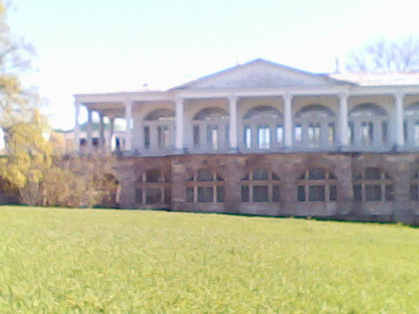 Лушин Александр