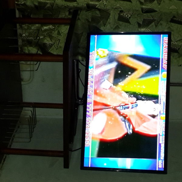 Акмарал Кошанова