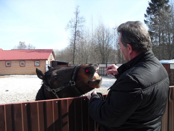 Василий Щеглов