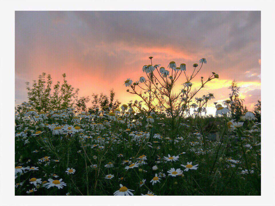 Виктория Виктория