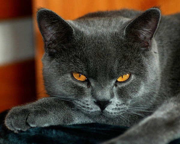 Екатерина Кудрявцева