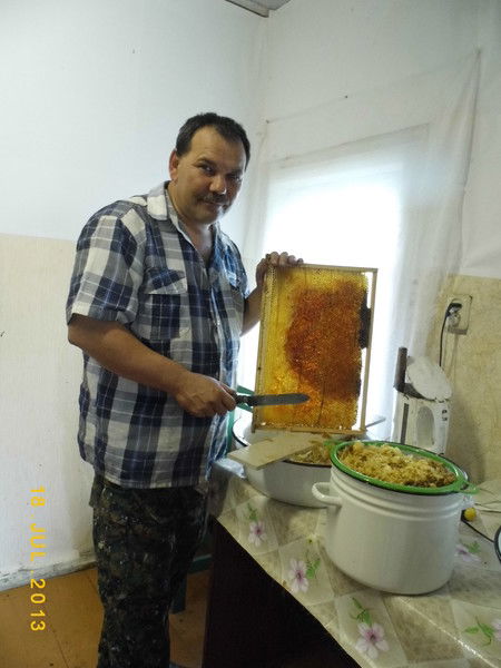 Владимир Высотин