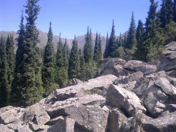 Галина Носова