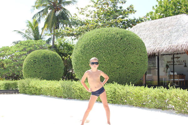 Алексей Серебряков