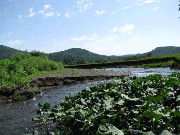 Зинаида Виноградова