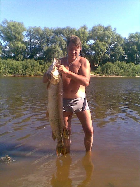 Александр Красавчик