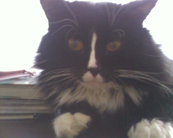 Сергей Саласюк