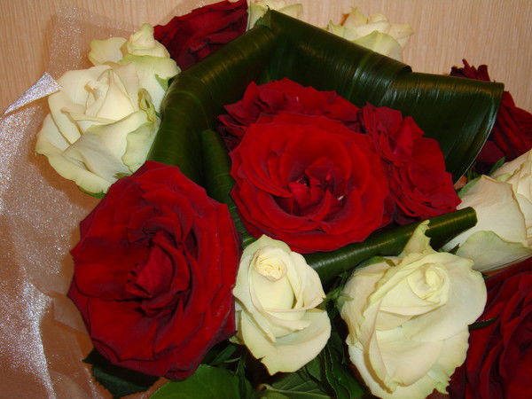 Алена Шуляк