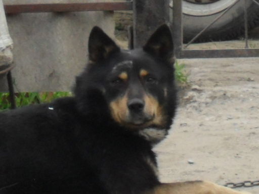 Касач Владимир