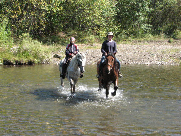 Владимир Кальсин