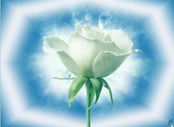 Охримович Мария