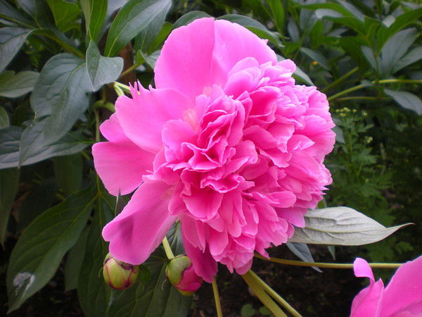 Наталья Мартусевич