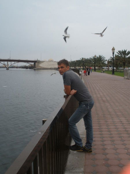 Роман Ворона