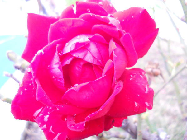 Бухгалтерия Осавиахим