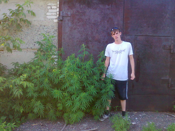 Евген Василич