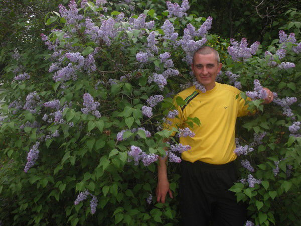 Владимир Гринь