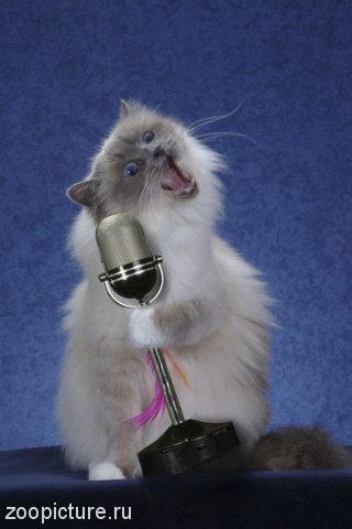 Марина Дуркина