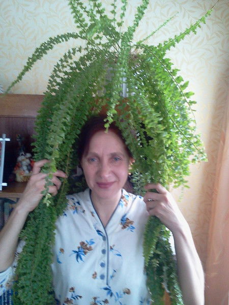 Светлана Цветова