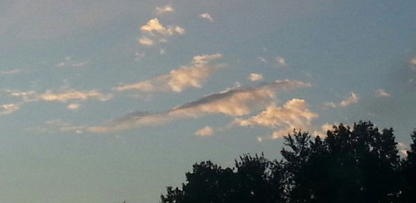 Евгений Веда