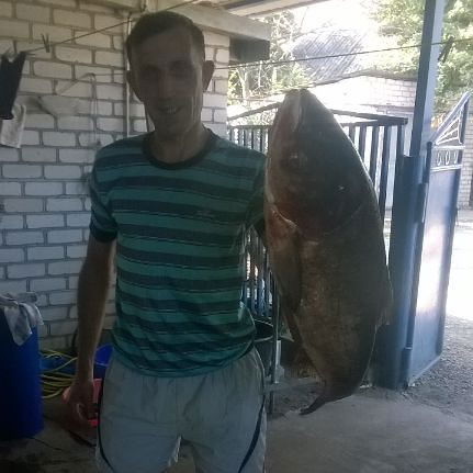 Александр Любежанин