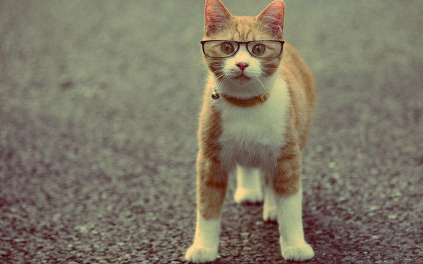 Светлана Гришина