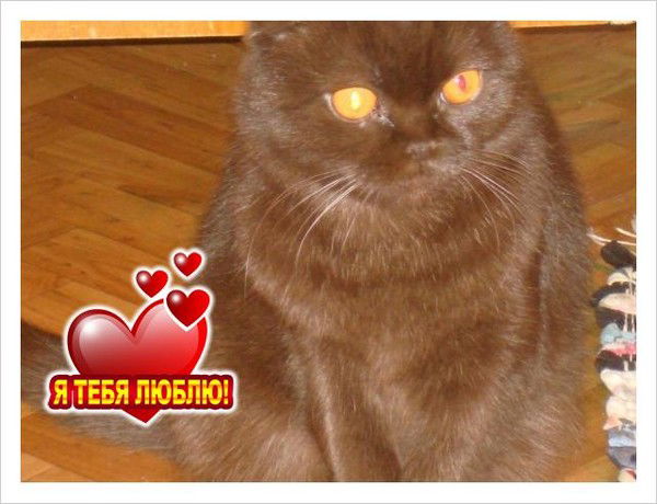 Димуля Угланов