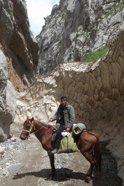 Эрлан Абылов