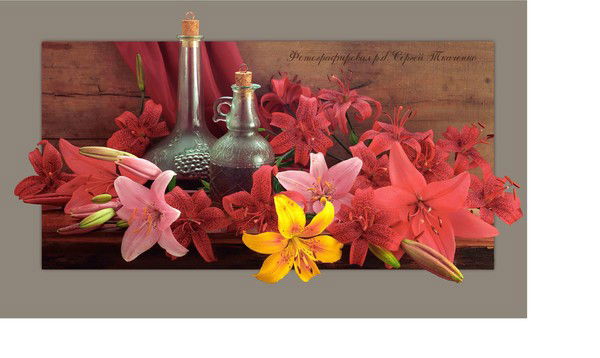 Шаброва Мария