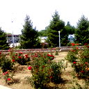 Nurgazy Joldoshev