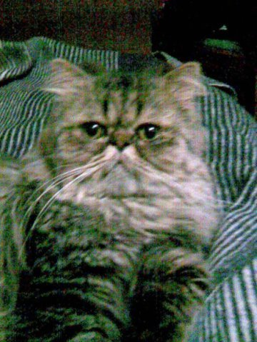 Надежда Виноградова