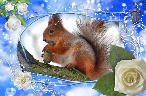 Антонина Сайгина