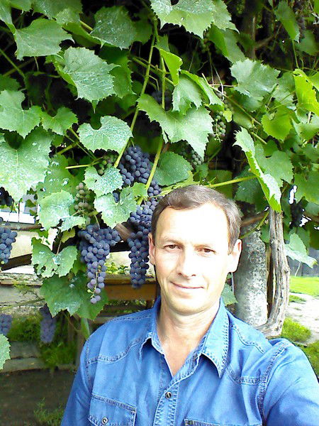 Вячеслав Друженко