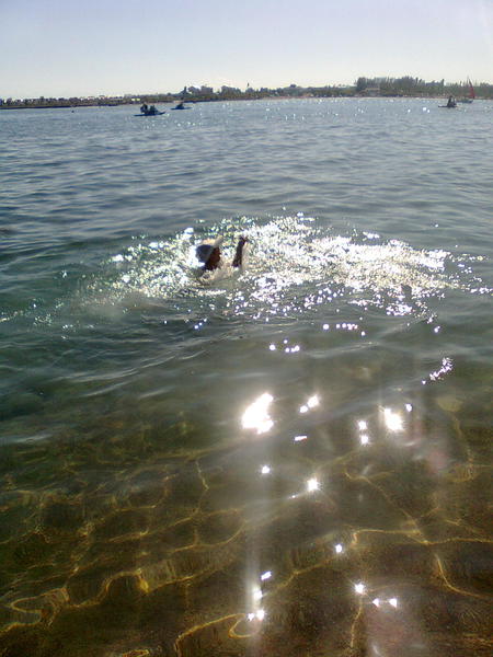 Маргарита Кукова