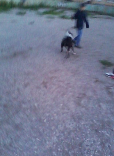 Светлана Ганиева