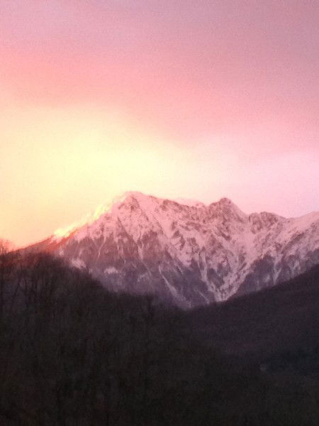 Максим Шомин