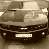 Ренат Мустаев